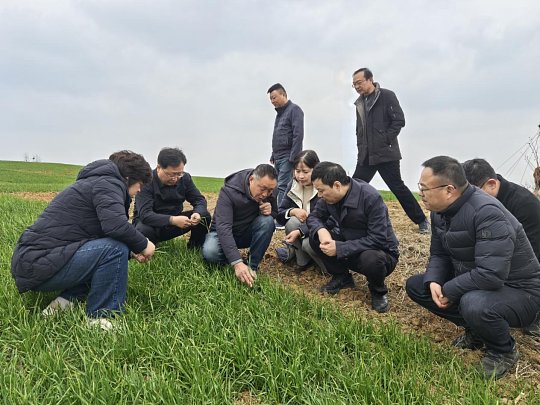 赵丹 商务局局长